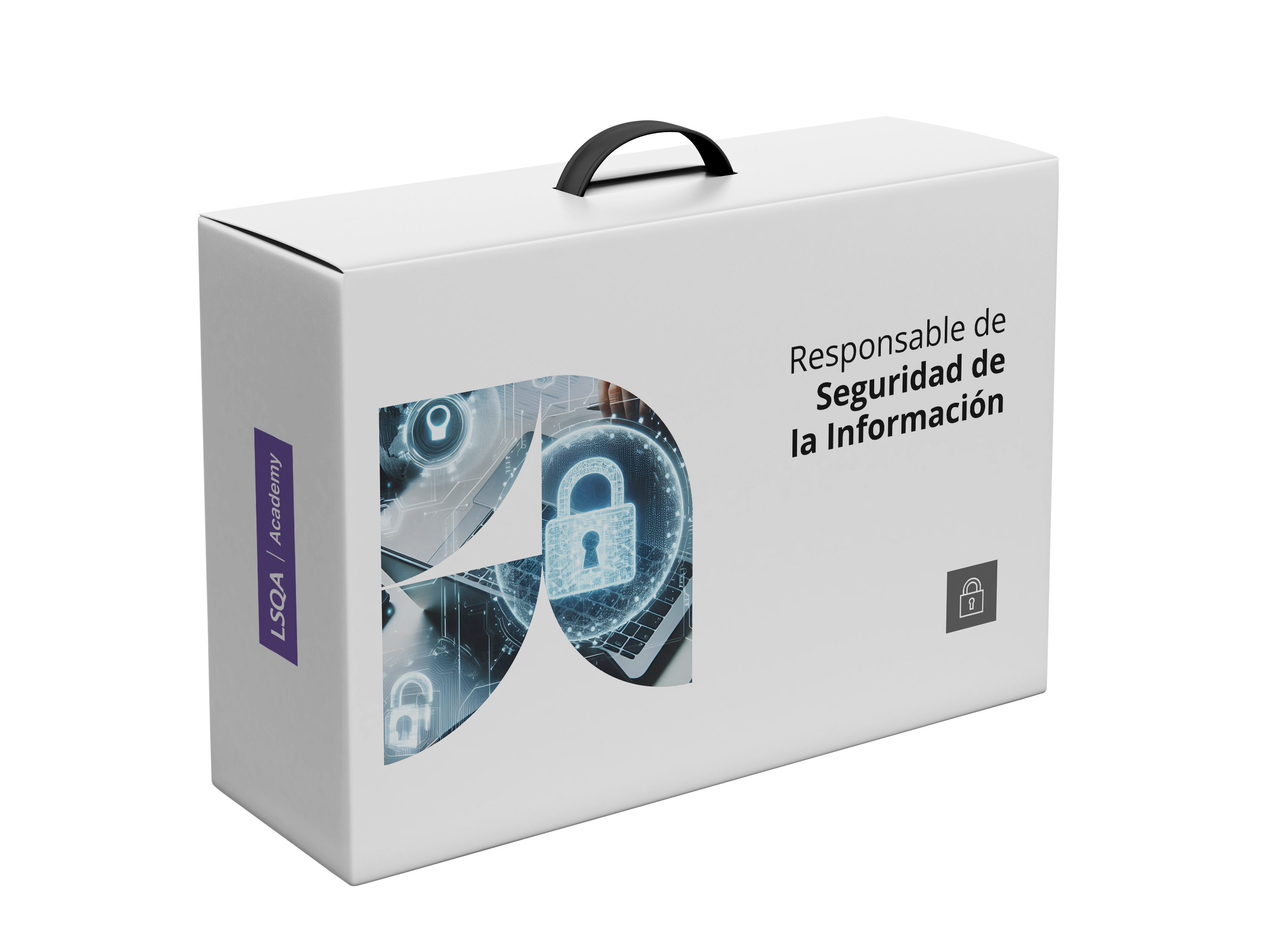 caja seguridad de la información 2025